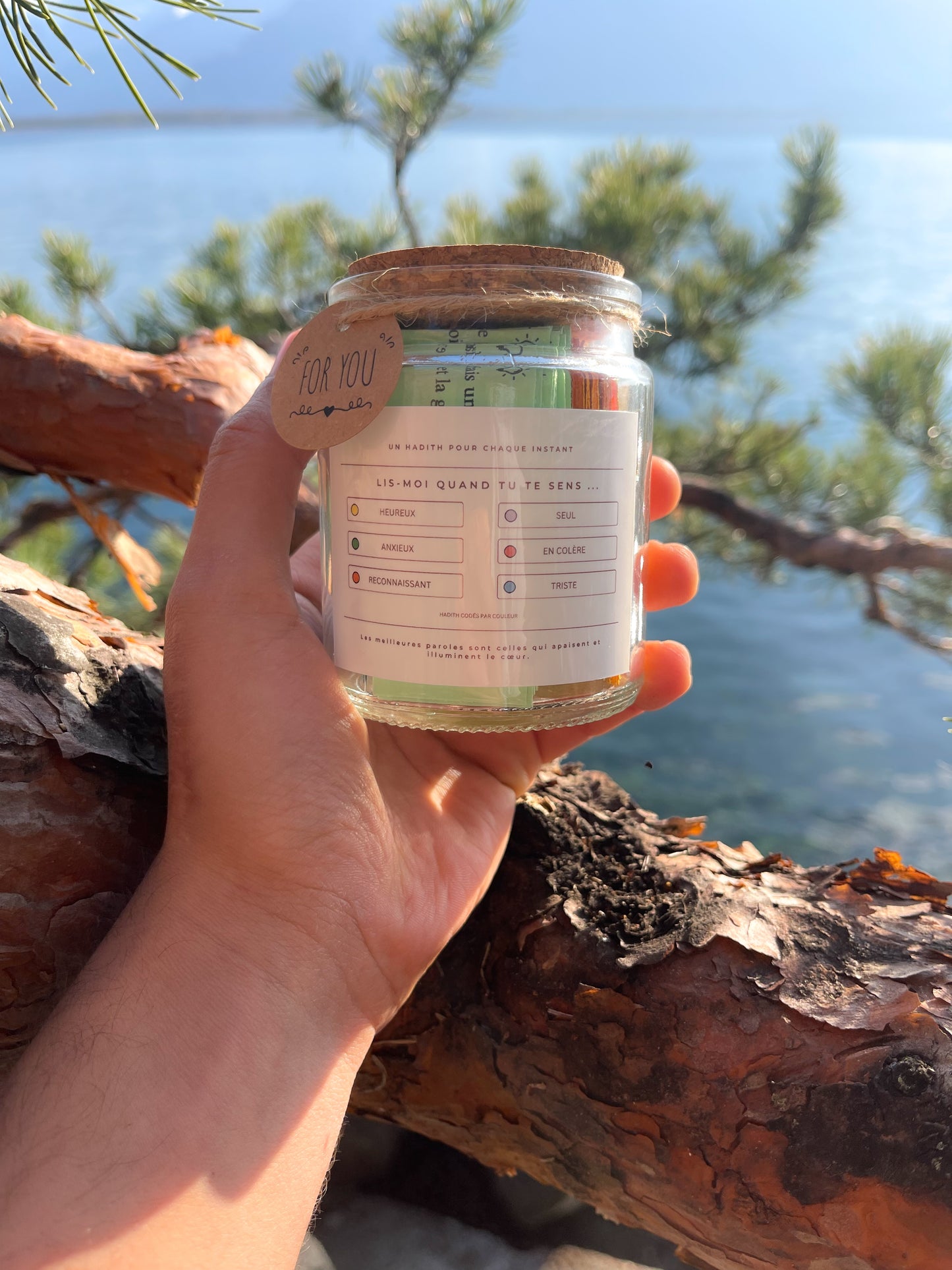 Hadith Jar – Une Sagesse Intemporelle pour Chaque Instant - Infuse Quran