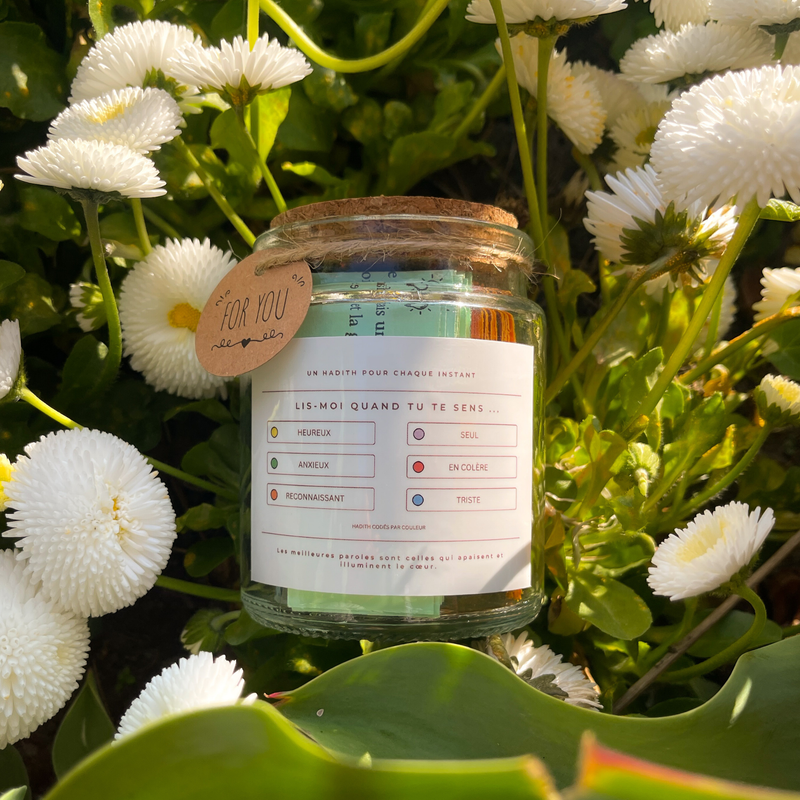 Hadith Jar – Une Sagesse Intemporelle pour Chaque Instant - Infuse Quran